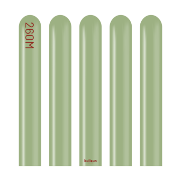260M Retro Eucalyptus - 50CT Nozzle Up